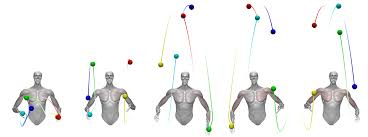 Dexterity