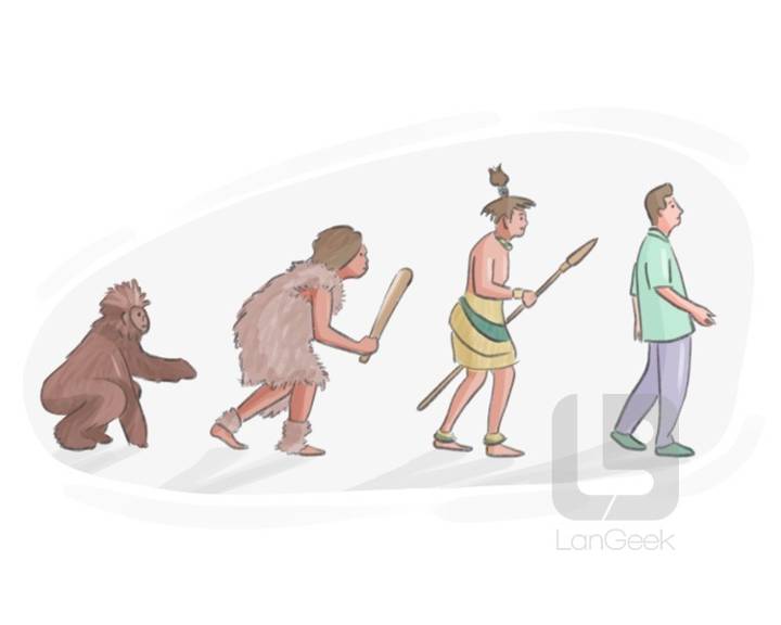 evolve
