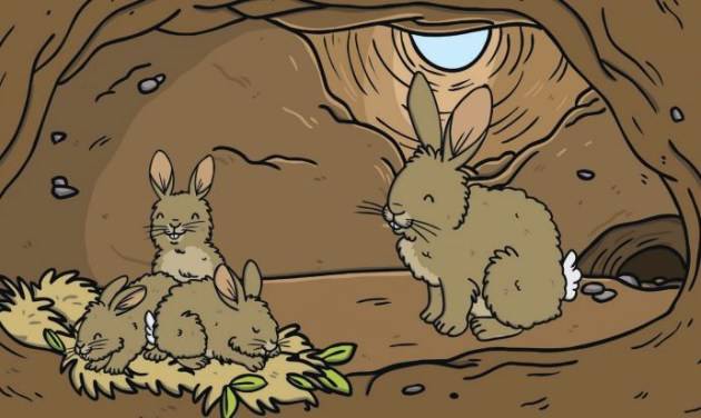 burrow