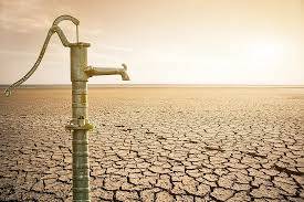 scarcity