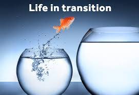 transition