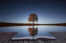 Reflect