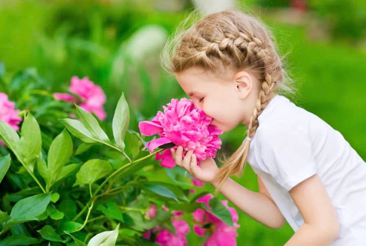 fragrant
