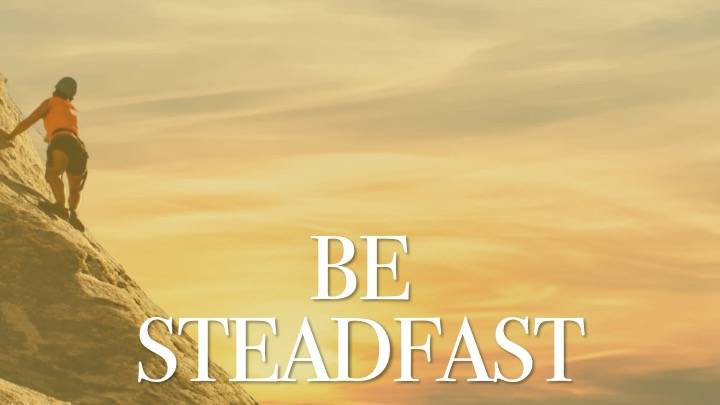 steadfast