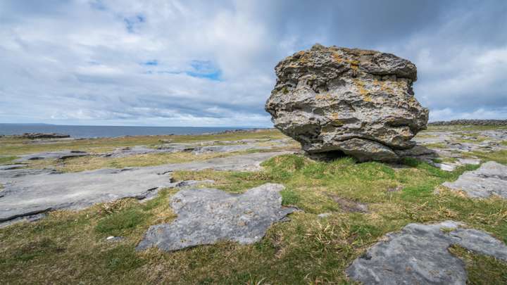 erratic