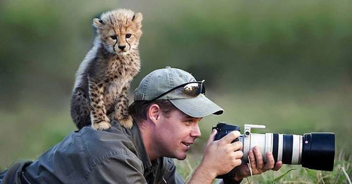 intrigue