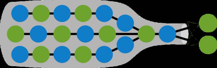 bottleneck
