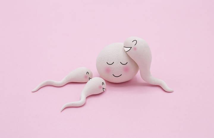 fertility