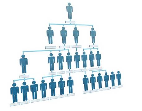 social hierarchy