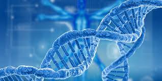 genetics