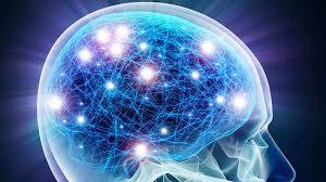 Brain connectivity