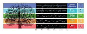 Brain wave pattern