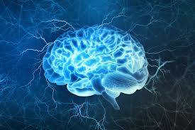 Cognitive faculties