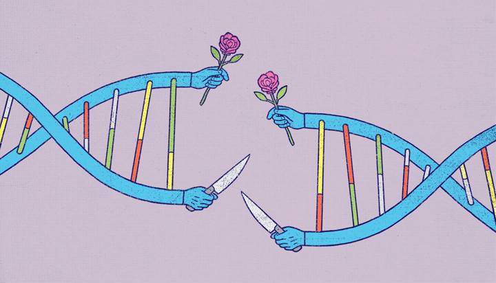 selfish gene