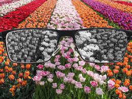 color-blind