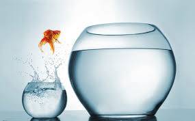 grab the golden opportunity to do sth