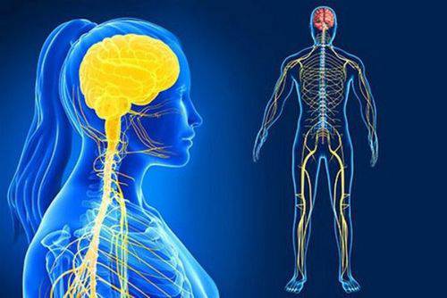 neural activity