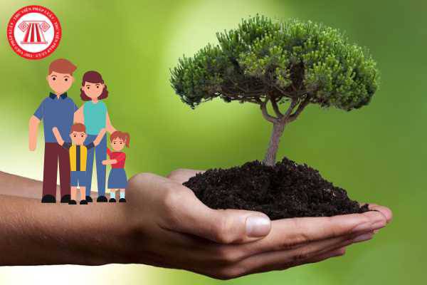 stewardship