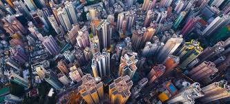 concrete jungle