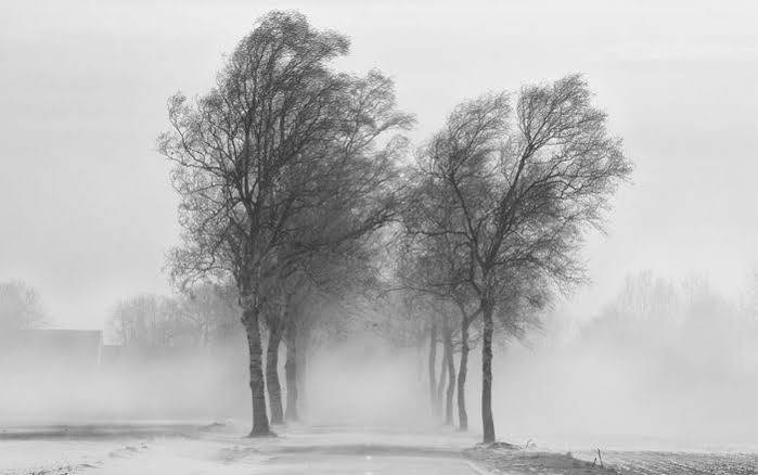 MONSOON