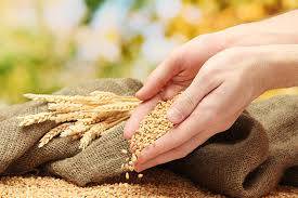 food security