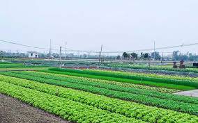 farmland