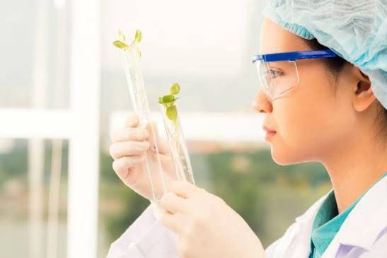 BIOTECHNOLOGY