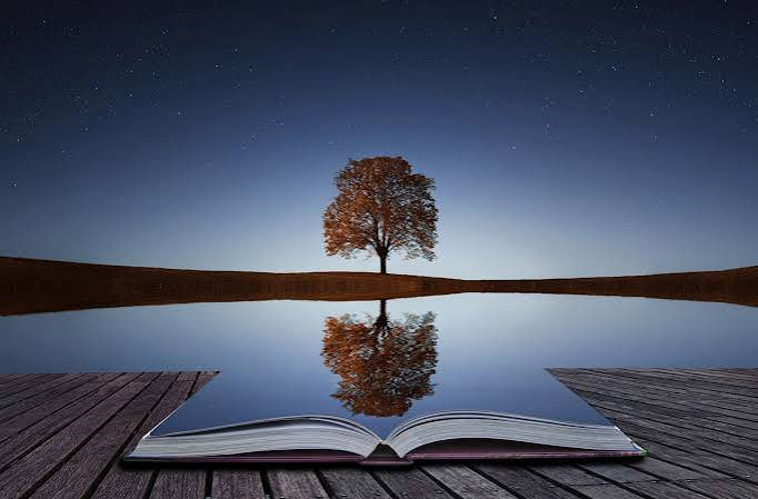 reflect