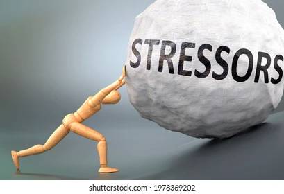 stressor