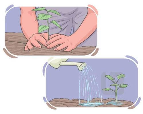 NOURISH